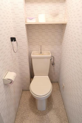 gC -